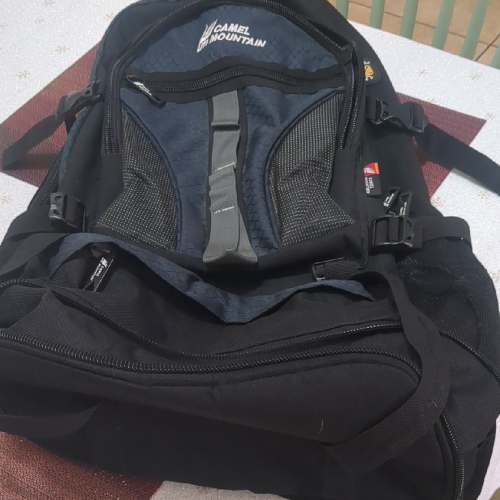 Black and Gray Men's Backpack